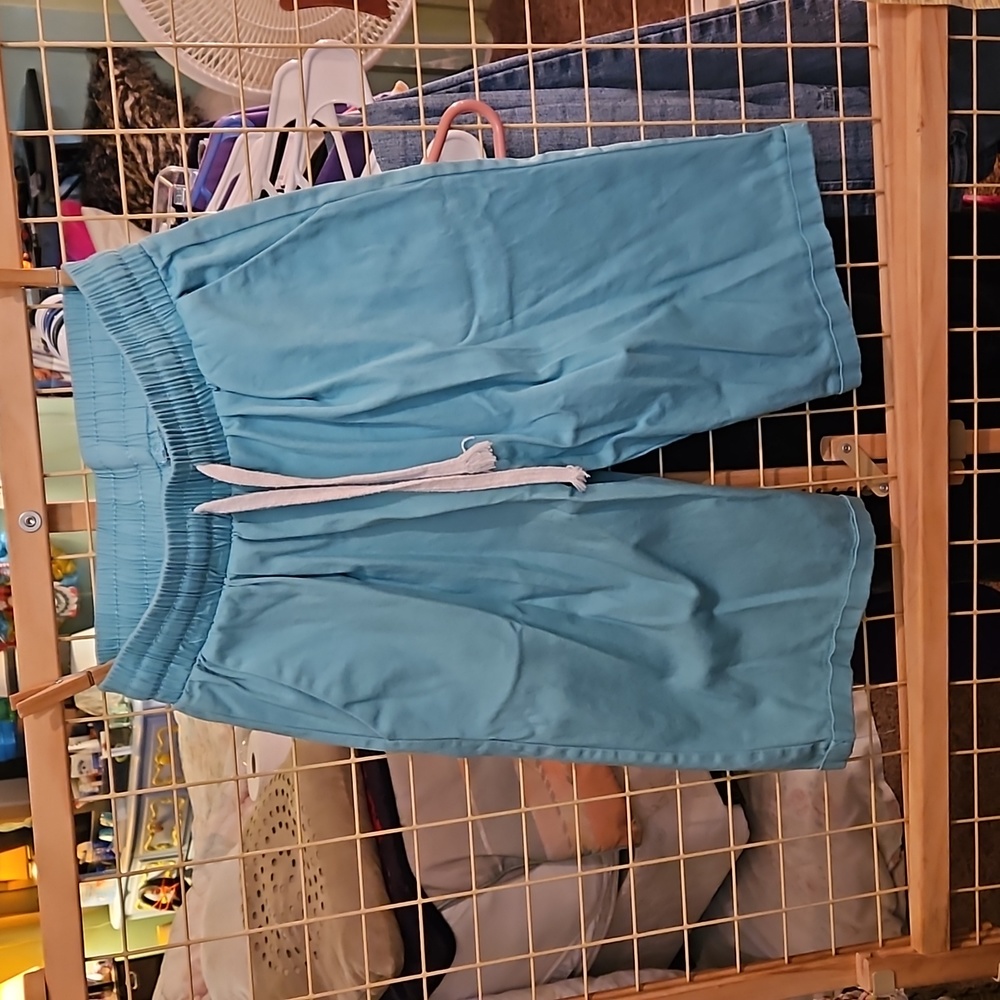 Pre loved from mom's closet Like NEW Only worn 1 time Women's shorts medium Aqua